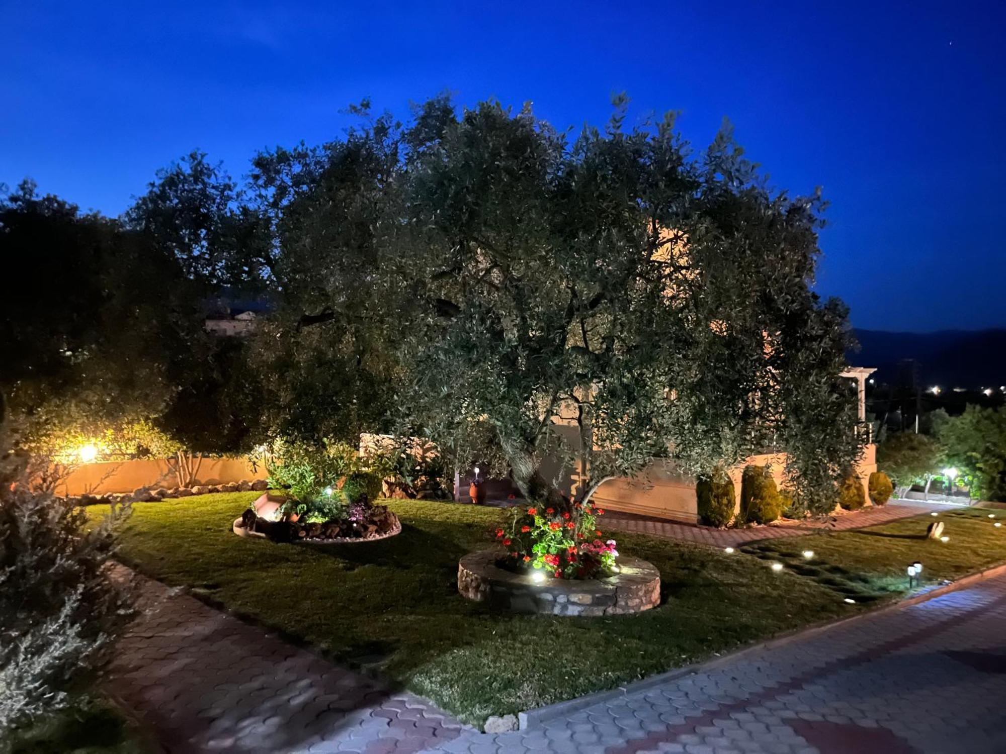 En Ethria Apartment Limenaria  Exterior photo